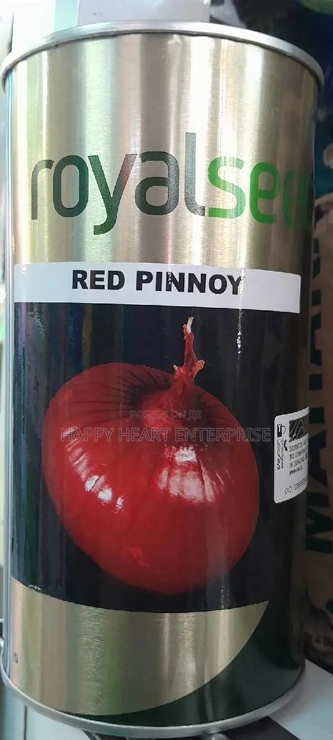 Red Pinnoy Onion
