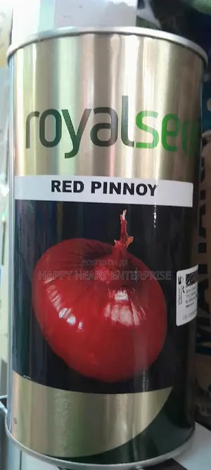 Red Pinnoy Onion