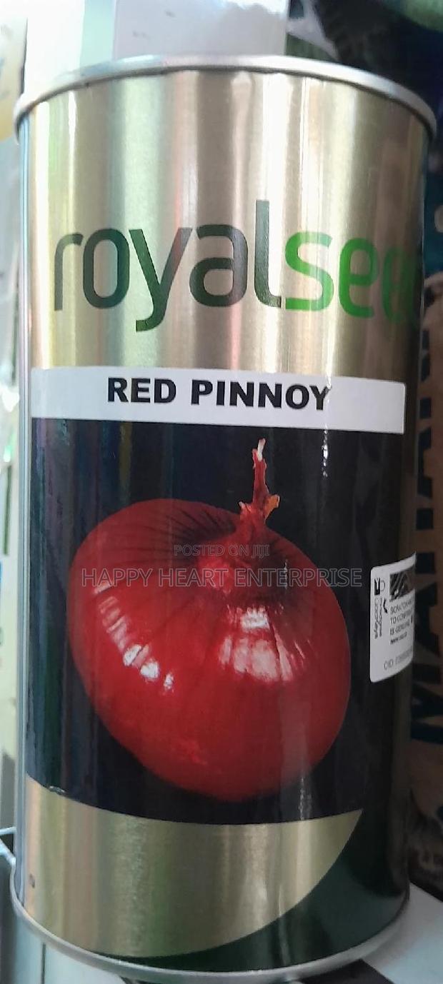 Red Pinnoy Onion - main view