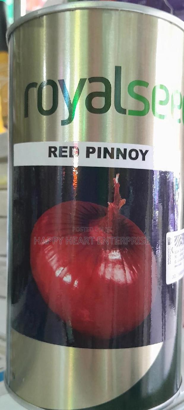 Red Pinnoy Onion - thumbnail 3