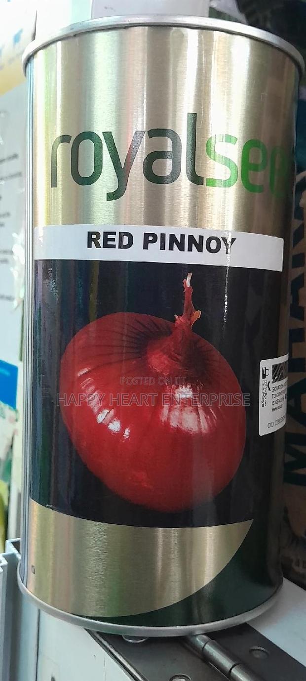 Red Pinnoy Onion - thumbnail 7