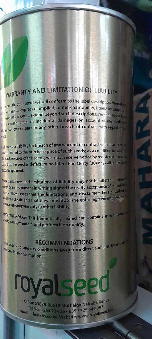 Red Pinnoy Onion - thumbnail 8