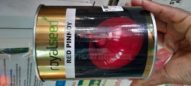 Red Pinnoy Resistant Quality Variety 250G - thumbnail 8