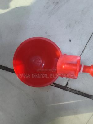 Chicken Nipples - main view