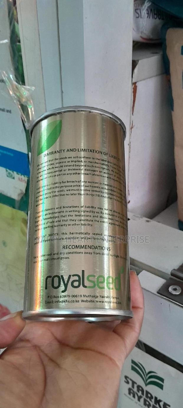 Red Pinnoy Resistant Quality Variety 250G - thumbnail 6