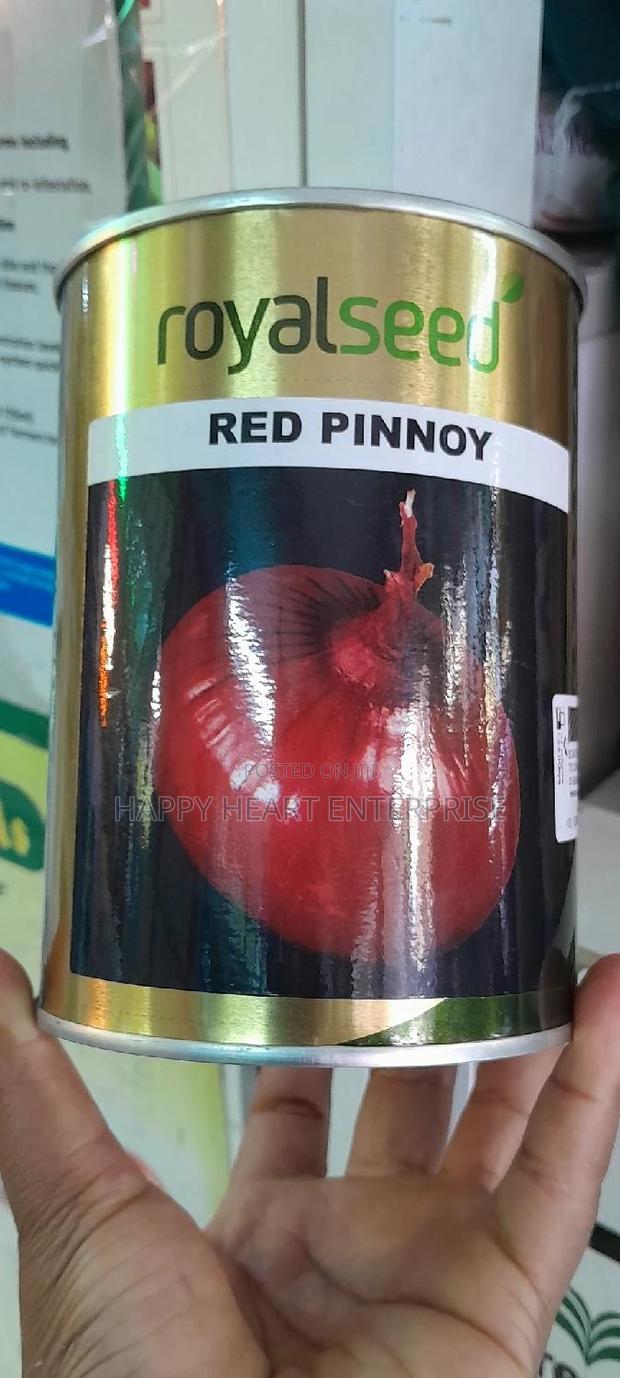 Red Pinnoy Resistant Quality Variety 250G - thumbnail 4