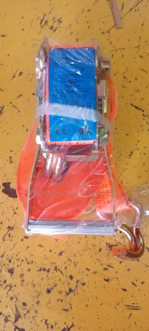 Ratchet Tie Down 10meters Rope 2.5_5tonne