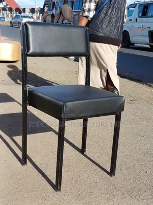 Waiting Chair/Caterina Chair/Office Chair