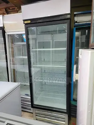 Display Fridge Staycold