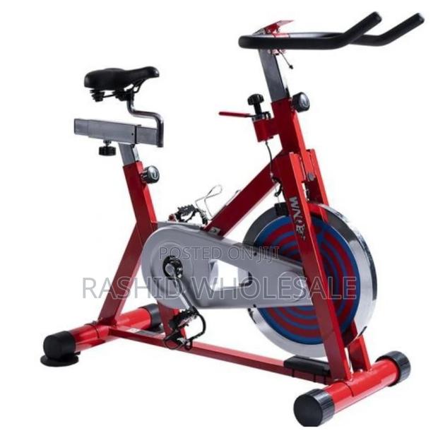 Spine Exercise Bike. Spine Bike