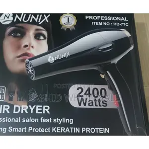 Hair Dyer With Accessories