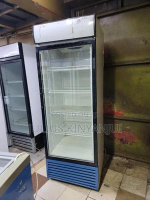 650 Litres Display Fridge - main view