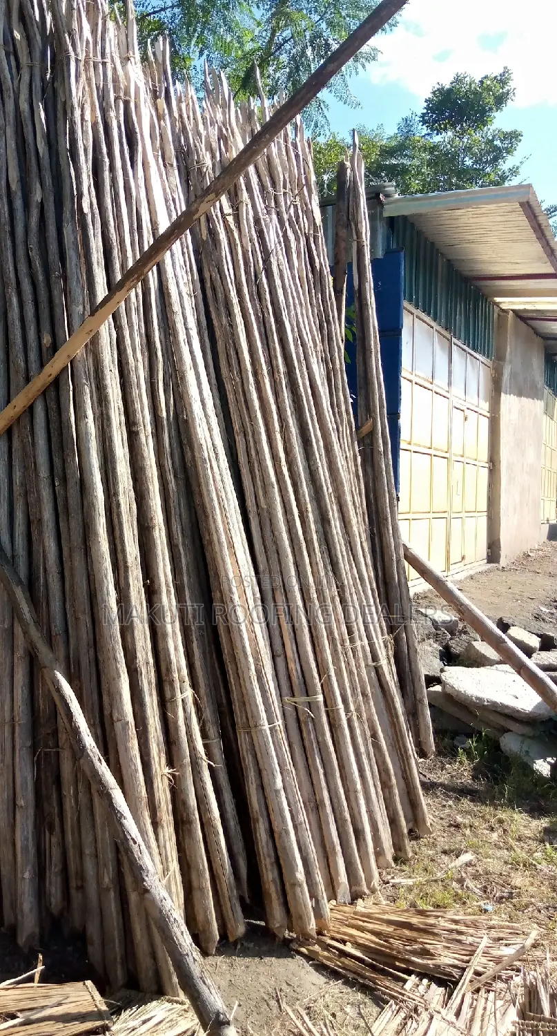Sisal Poles for Sale at Ukunda