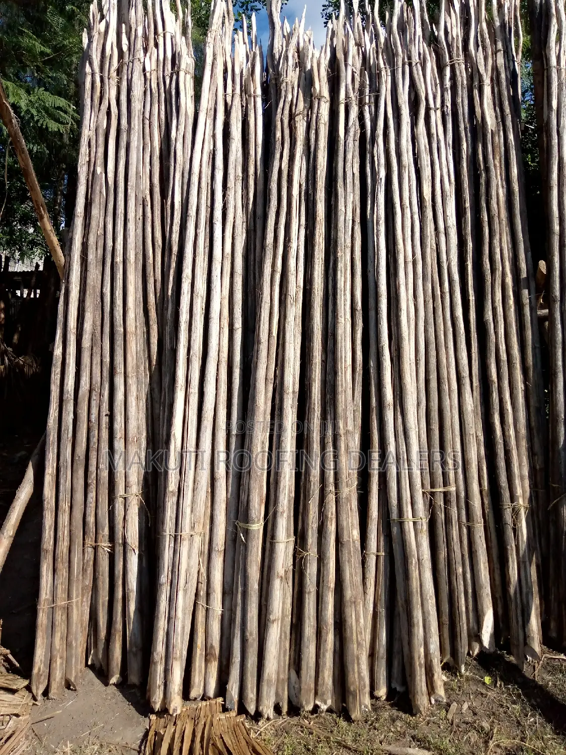 Sisal Poles for Sale at Ukunda