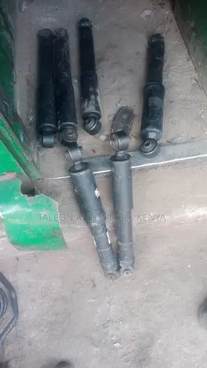 Toyota Vanguard/Rav4 Rear Shocks