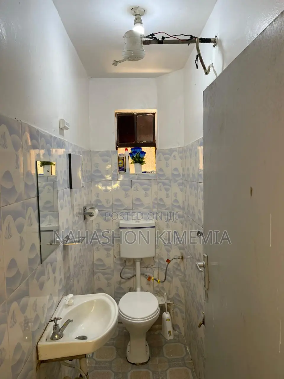 Royal Blue One Bedroom Airbnb TRM Drive Roysambu Thika Road