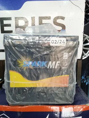 NS40L Spark Battery