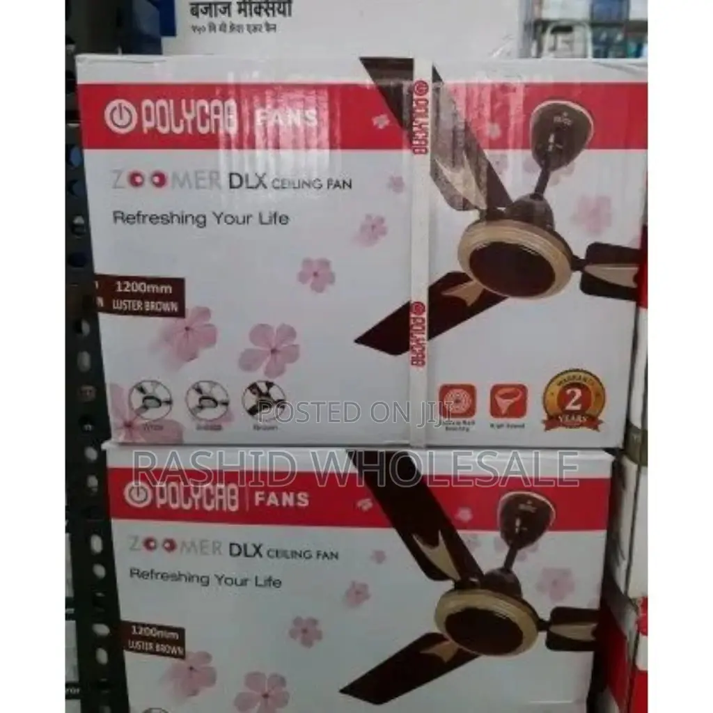 Modern 24inch Roch Ceiling Fan