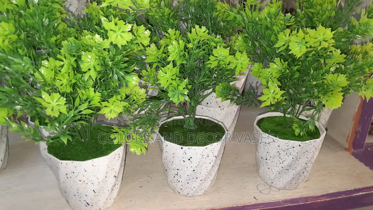 Green Potted Flowers