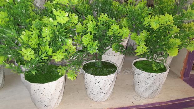 Green Potted Flowers - main view