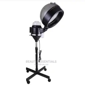 Hair Steamer