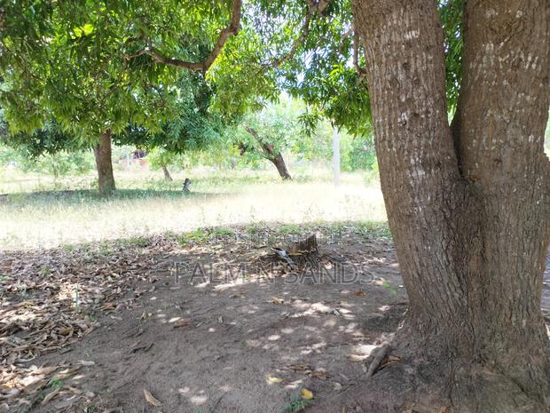 Two Acres Commercial Property - thumbnail 3