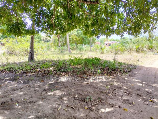 Two Acres Commercial Property - thumbnail 5