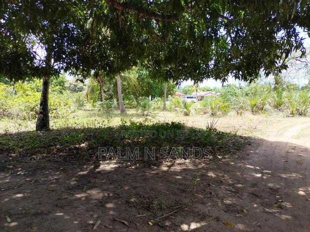 Two Acres Commercial Property - thumbnail 4