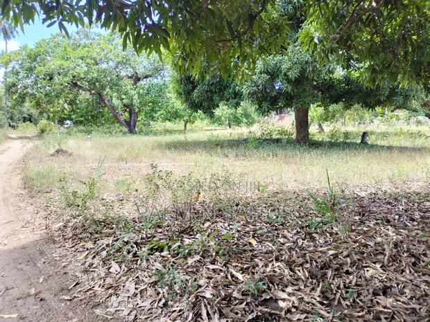 Two Acres Commercial Property - thumbnail 7