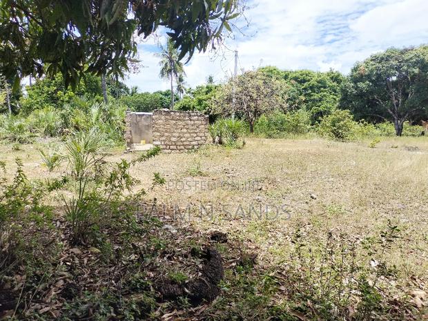 Two Acres Commercial Property - thumbnail 6