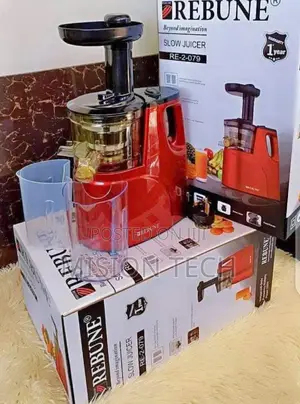 Rebune Slow Juicer ,DC Motor 2 Outlet for Juice Pulp
