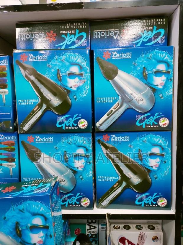 Ceriotti Professional Hair Blow Dryer