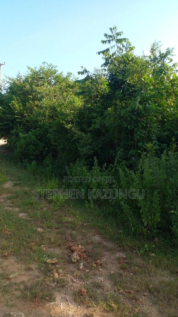 2 Acres in Galu Kinondo Beach on 2nd Beach Row - thumbnail 9
