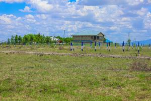 Cheap Katani Plots ^SM - thumbnail 2