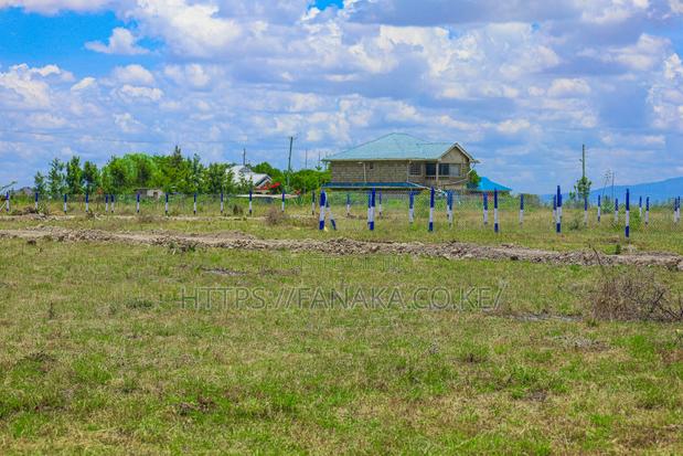 Cheap Katani Plots ^SM - main view