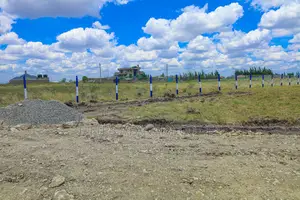 Cheap Katani Plots ^SM