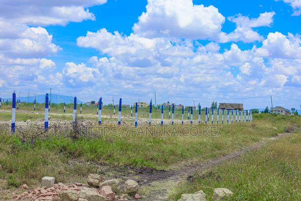 Cheap Katani Plots ^SM - thumbnail 4