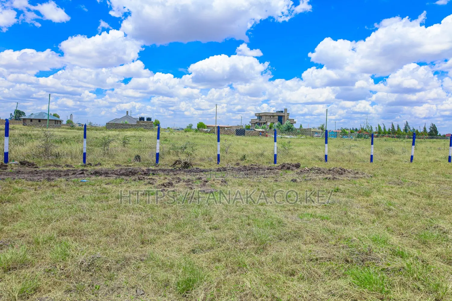 Cheap Katani Plots ^SM