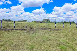 Cheap Katani Plots ^SM