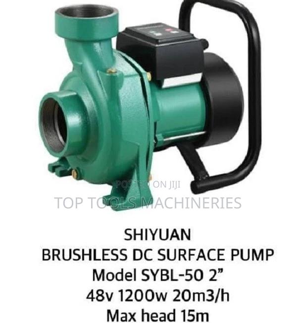 Shiyuan Brushless Dc Surface 2" Pump 48v 1200w + Controller - main view