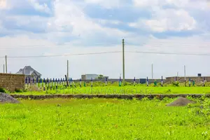 Plots Touching the Road ^Ma