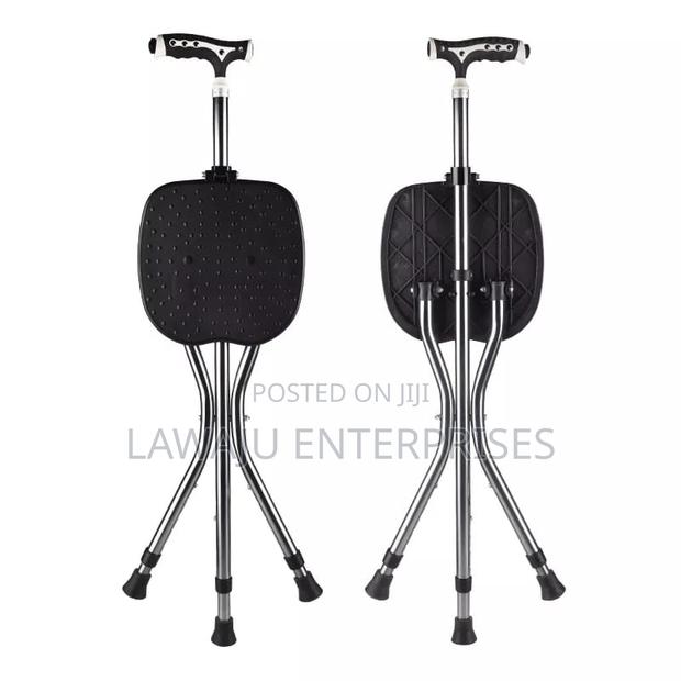 Walking Stick With Stool