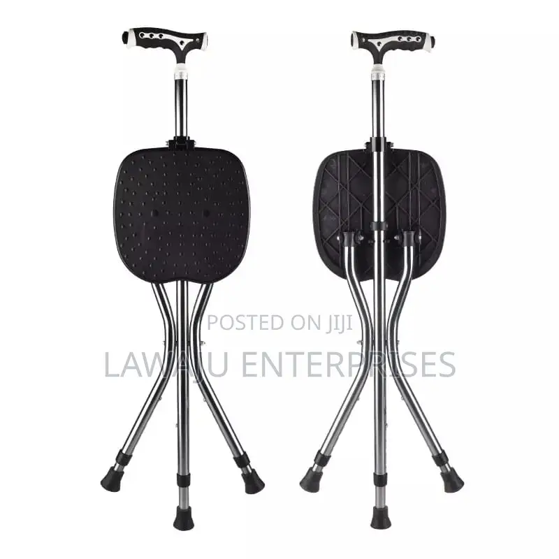 Walking Stick With Stool