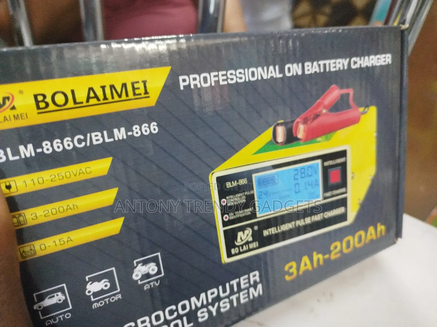 Professional on Battery Charger, Battery Charger