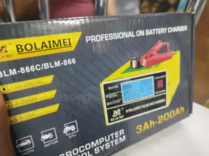 Professional on Battery Charger, Battery Charger