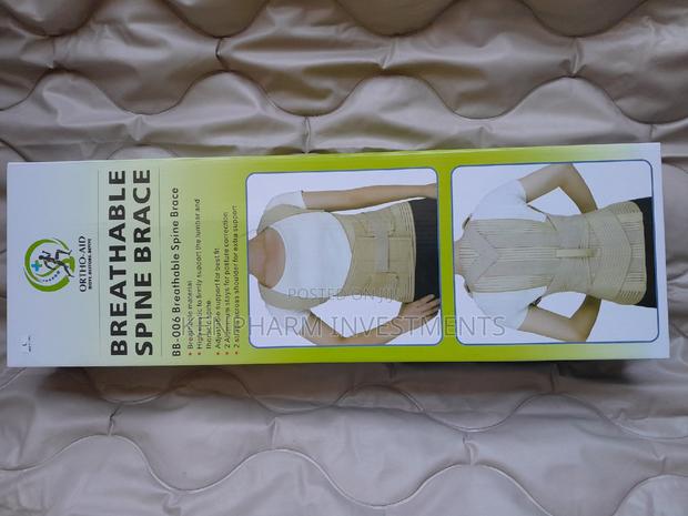 Breathable Spine Brace - main view