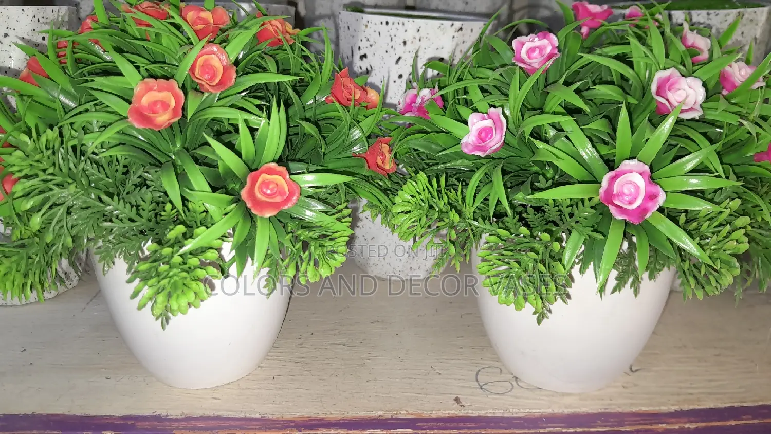 Colored Bonsai Potted Plants