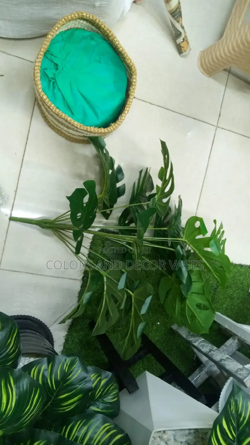 Monstera Basket And White Pebble Stones