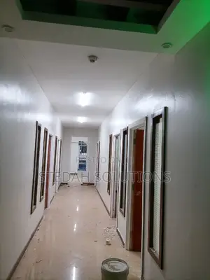 Electrician (Professional)