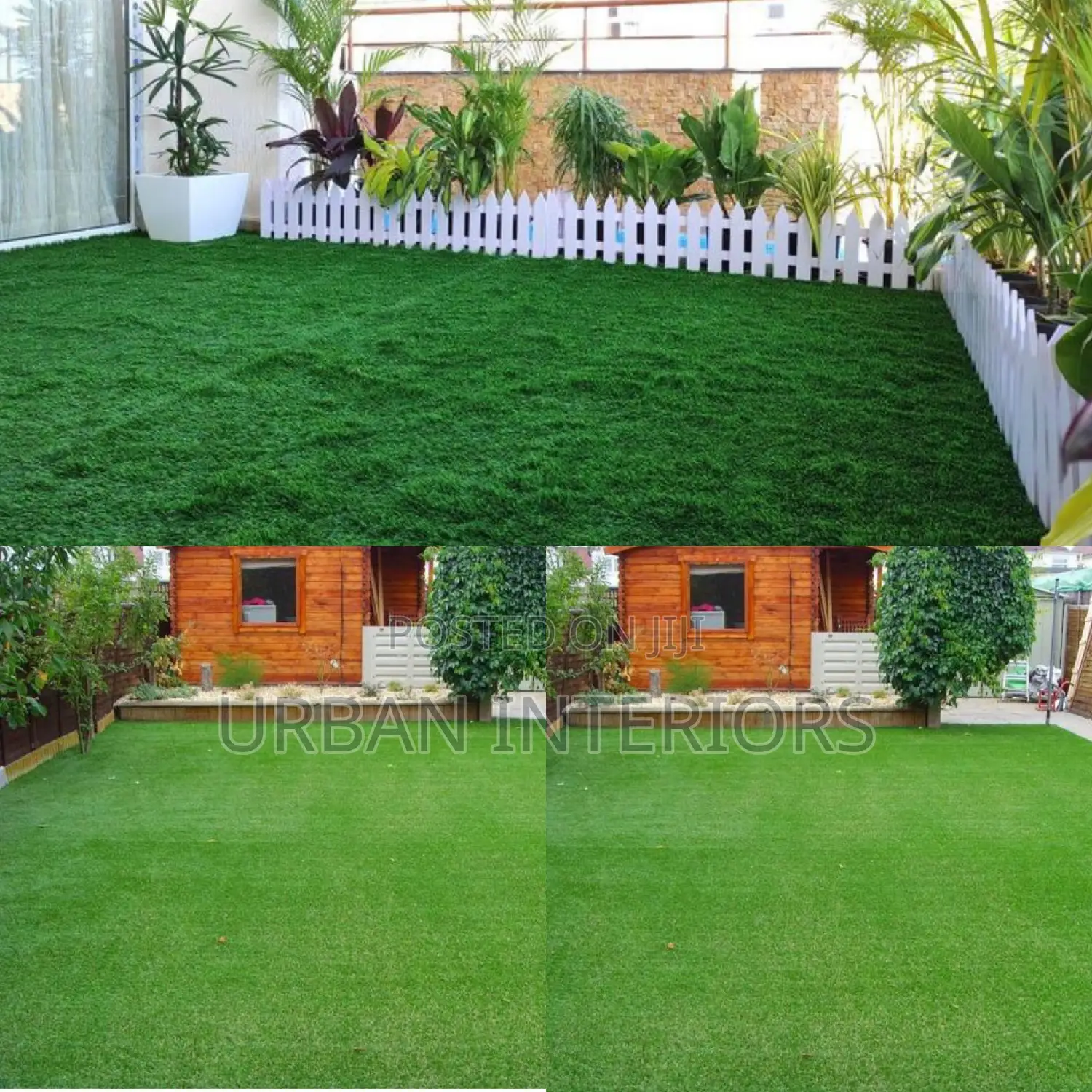 Grass Carpet Grass Carpet Grass Carpet Grass Carpet